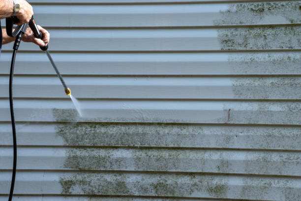 Best Yard Waste Removal  in North Highlands, CA