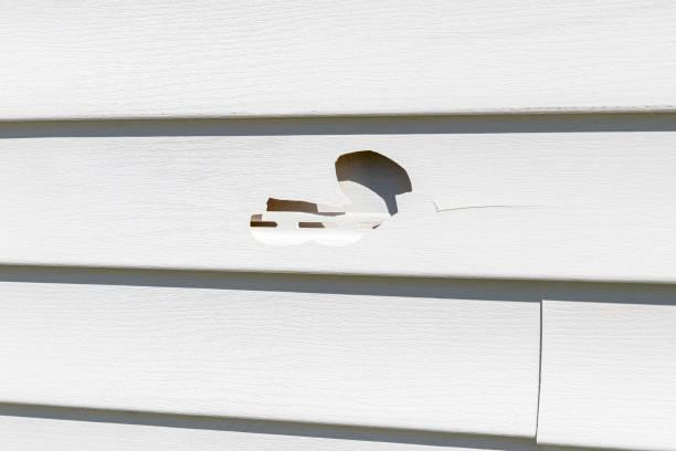 Best Shed Removal  in North Highlands, CA